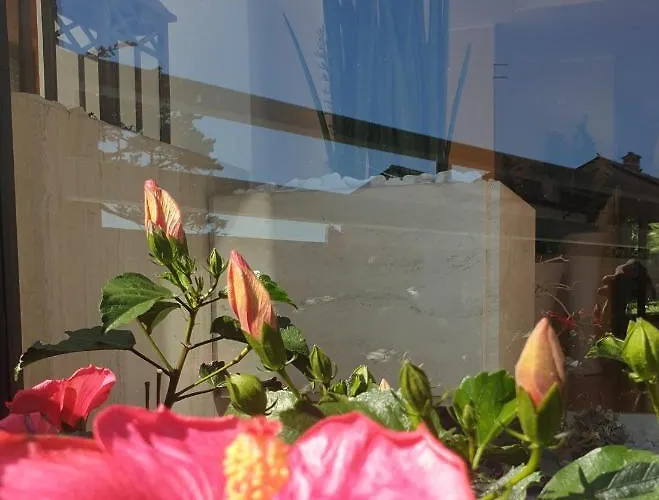 Hotel Sorriso Numana