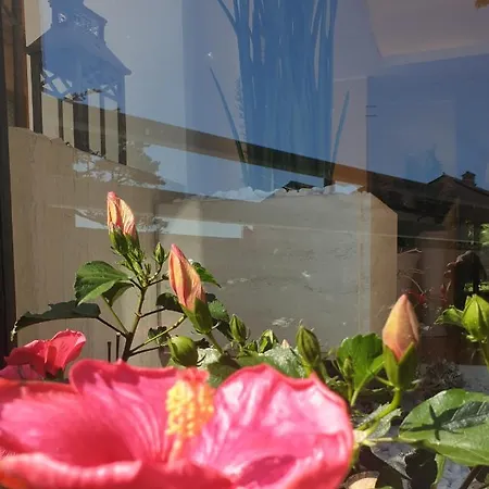 Hotel Sorriso Numana